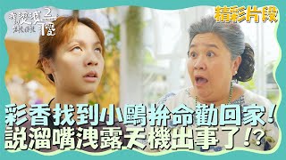 彩香找到小鷗拚命勸回家？說溜嘴洩露天機出事了！？【我的婆婆怎麼那麼可愛2】精彩片段｜每週日晚間8點 東森戲劇40頻道 鍾欣凌 黃姵嘉 洪都拉斯 張書偉 邱凱偉 王少偉 楊銘威 蘇晏霈 林筳諭