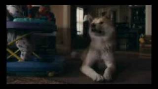 Hachiko.A Dogs Story.2010.Dvdrip-7.mp4