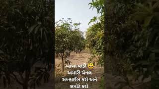 આંબા વાડી 😀🤟