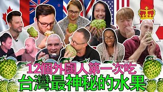 12 Foreigners Eat Taiwan's DELICIOUS Secret Fruit! ATEMOYA! A TAIWANESE fruit you didn’t know about!