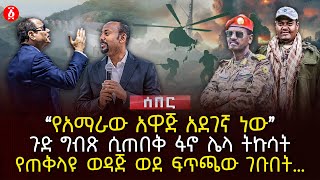 ‹‹የአማራው አዋጅ አደገኛ ነው›› | ጉድ ግብጽ ሲጠበቅ ፋኖ ሌላ ትኩሳት | የጠቅላዩ ወዳጅ ወደ ፍጥጫው ገቡበት… | Ethiopia