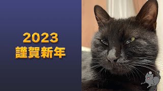 2023年 明けましておめでとうございます動画［黒猫 保護猫］Happy New Year. I look forward to working with you again this year.