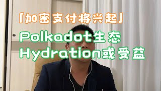 「加密支付即将成熟」Polkadot生态Hydration或受益