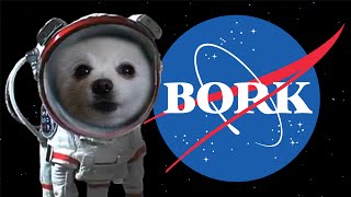 The Final Bork