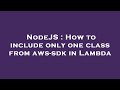 NodeJS : How to include only one class from aws-sdk in Lambda