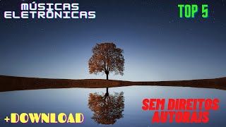 As Melhores Músicas Eletrônicas Para Baixar 2020 - Top 5 (SEM DIREITOS AUTORAIS)