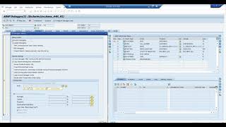 Video 8 - Update Debugging Concepts and finding Exits via debugging