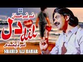 Nah Nah Ma Dil Na Dendum | Shahid Ali Babar | New Music Video| Arif Enterprises