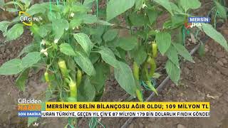 Mersin'de selin bilançosu ağır oldu