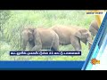 headlines now noon 1 pm 09 06 2023 sun news tamil news today latest news