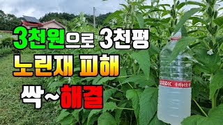 3천원으로 참깨, 콩, 고추 등 노린재 피해 모두 쉽게 해결됩니다.