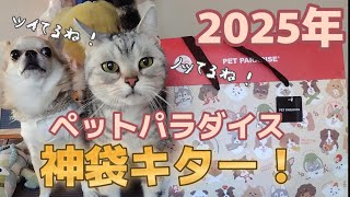 【即完売】2025年ペットパラダイス福袋を開封しました♪