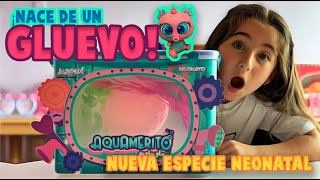 DECUBRÍ EL MISTERIO DE GLUEVO!! 🕵🏻‍♀️🌔 / SORTEO!! /AQUAMERITOS!!😃💦NUEVA ESPECIE NEONATAL 💓