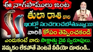 తులా రాశి వారి ఈ నాగపాములు జంట ఇంట్లో సంచరించబోతున్నాయివారికి కోపం తెప్పించకండి ఎందుకంటే వారు