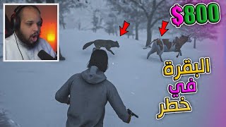 محاكي المزارع #2| ننقل البقرة بدون سيارة🔥 |Ranch Simulator |S3