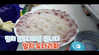 밀치 봄도다리를 만나다  _ 밀치회 도다리회