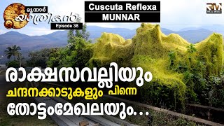 Cuscuta Reflexa | Sandalwood Forest |Episode 38 | History of Marayoor| Kerala|2020 Malayalam|മൂന്നാർ