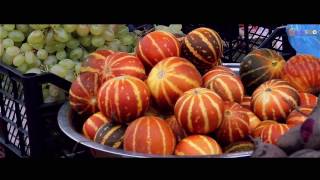 Azerbaijan tourism Talish Region Astara Талышские горы- Holiday Azerbaijan Travel Group