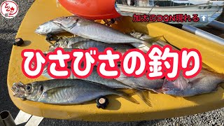 ミニボ釣行40 ひさびさの釣り【DQN現れる…】