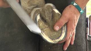 Checking Hoof Balance with John Schmidt, CJF AWCF