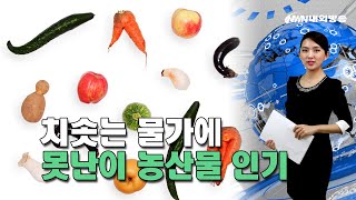 내외방송 뉴스 / 치솟는 물가에 '못난이 농산물’ 인기