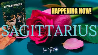 ❤️ SAGITTARIUS YOU FINALLY GET CLARITY & TRUTH #sagittarius #tarot #sagittariustarot #soulmate #love