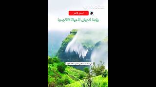 اجمل فديو ممكن تشوفه اليوم كلام جميل عمر #عمر_عبدالكافي #موعظة #ترند #مسلم #religion #video #nature