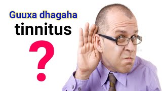 Guuxa dhagaha laga dareemo  ( tinnitus ) 5- sheey OO sababta iyo xalka Dr Timajilac 2022