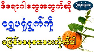 ဒီရောဂါတွေအတွက်ဆို ရွှေဖရုံရွက်ကို မဖြစ်မနေစားပေးပါ၊ Health benefit of pumpkin leaves