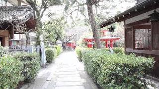 ふら～り車折神社@京都市〔STEADICAM MERLIN〕