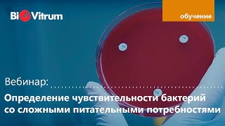 Вебинар Определение чувствительности бактерий со сложными питательными потребностями