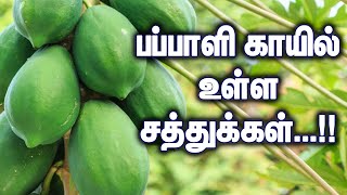 பப்பாளி காயில் உள்ள சத்துக்கள்...!!