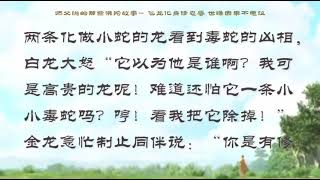 【师父说的那些佛陀故事】  飞龙化身修忍辱 世缘因果不思议    【有声大字幕】