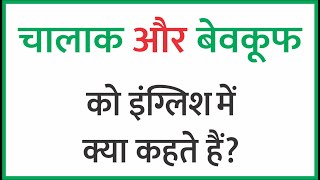 चालाक और बेवकूफ को  इंग्लिश  क्या  कहते हैं?chalak ki english kya hoti hai,Daily use English Meaning