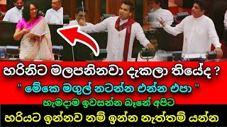 🔴 හරිනිට මලපැනලා විපක්ශෙට දෙහි කපපු හැටි |Aya waya Parliment | Anura kumara budget 2025 sri lanka