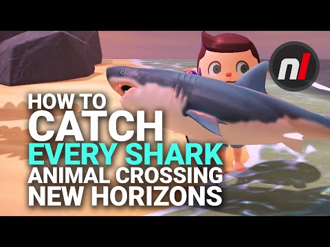 How to Catch a Shark in Animal Crossing: New Horizons