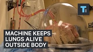 Machine keeps lungs alive outside body