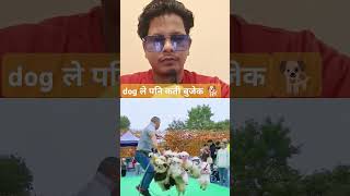 dog ले पनी कती बुजेको हेर्नुस् त साथी हरू #funny #pets #animals #cute #subscribe #duet