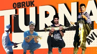 Turna Balık avı Çorum, Pike Fishing