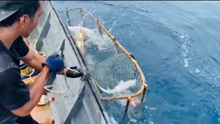 ANGKAT BUBU DI LAUT || BANYAK ROMBONGAN IKAN BESAR BESAR 🔥🌊😱