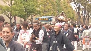 神輿パレード　～第41回かわさき市民祭り～