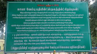 காயா வேம்பு பதி