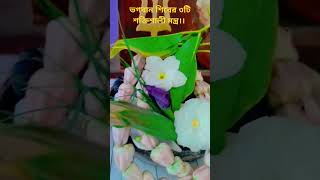 ভগবান শিবের ৩টি শক্তিশালী মন্ত্র।। #mahadev #viral #shorts #mahakaleshwar #laddugopal #radharani