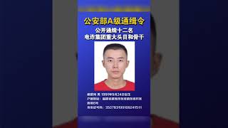 中国公安部A级通缉令 | “拔钉”行动开打 全力缉捕电信网络诈骗犯罪集团重大头目和骨干人员