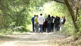 North American Butterfly Association (National Butterfly Center)