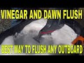 Flush your outboard at home better than Salt Away Flush (Vinegar and Dawn method)