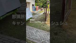 【トイプードル　那須旅行】キャンドルハウス　シュシュ　＃トイプードル　#那須旅行　＃ローソク作り　#short