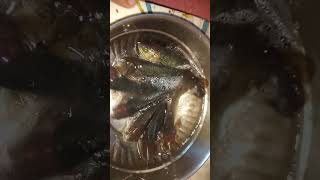 big Anabas fish in bowl HD