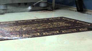 Carpet cleaning, tepperens