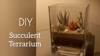 Succulent Terrarium DIY | How To Build A Succulent Terrarium #succulent #terrarium #gardening